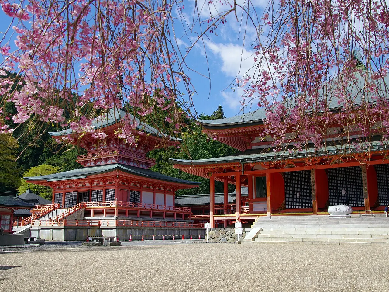 桜と比叡山延暦寺 (Enryaku-ji with Cherry Blossoms) 28 Apr, 2013 - panoramio — Enryaku-ji, the head temple of Tendai at Mount Hiei 桜と比叡山延暦寺 (Enryaku-ji with Cherry Blossoms) 28 Apr, 2013