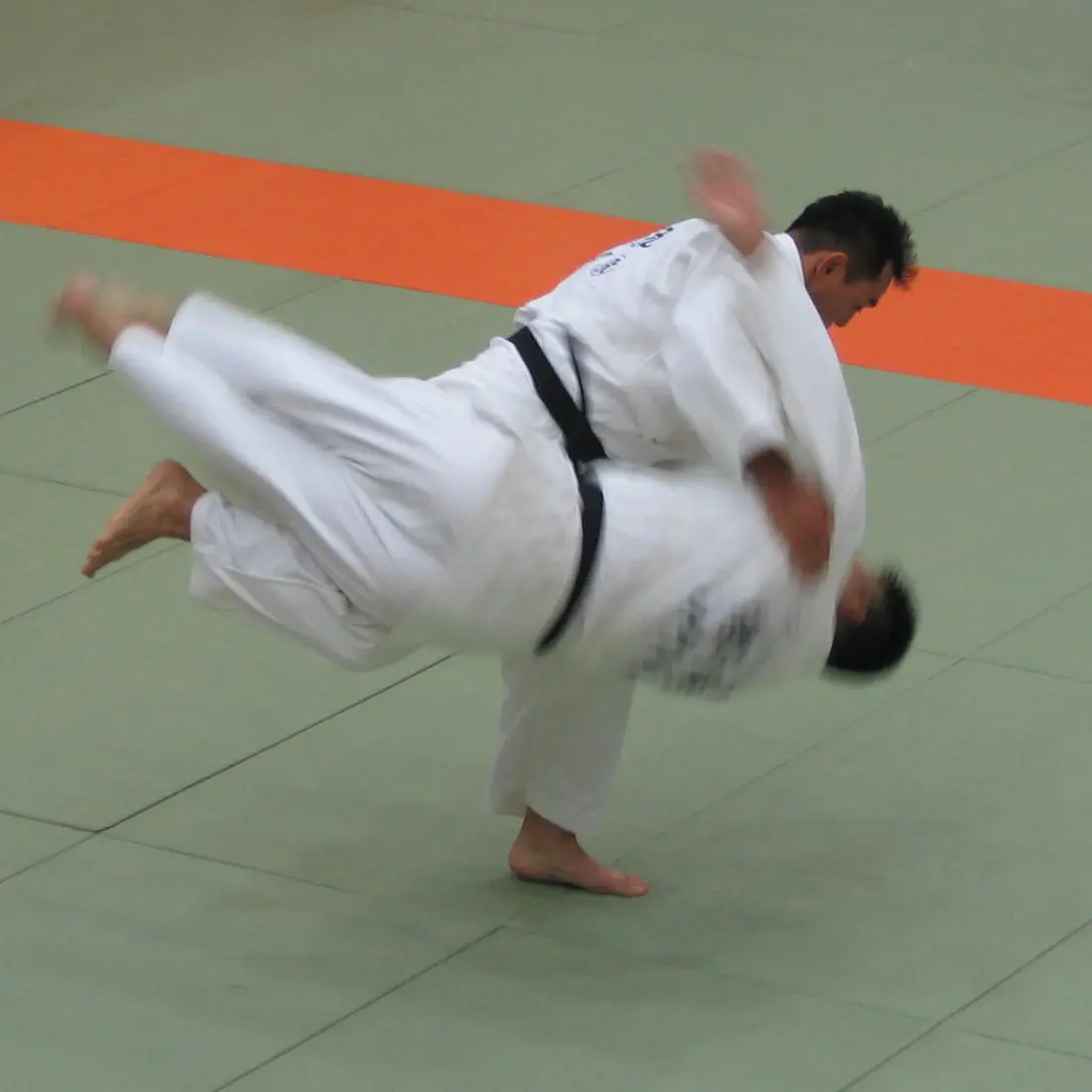 Haraigoshi — Harai goshi (払腰; sweeping hip), a koshi-waza haraigoshi in Nagenokata